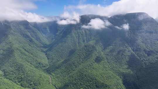 巴西圣卡塔琳娜普拉亚大峡谷风景。峡谷景观