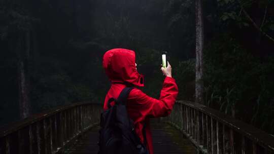 旅行者在雨林拍照