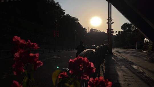 夕阳下的马路和车流,落日余晖