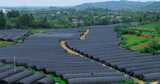 4k实拍农业种植基地大棚温室农场高清在线视频素材下载