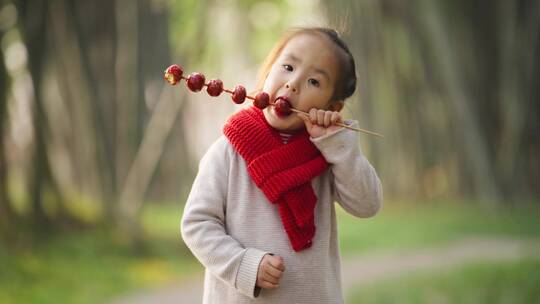 小女孩毛衣红围脖公园里吃糖葫芦新年快乐