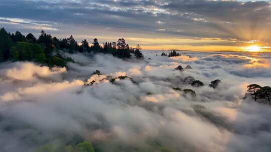 森林阳光云海森林云雾缭绕树林山大自然风景