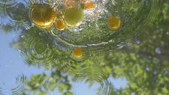 番茄入水溅起水花画面