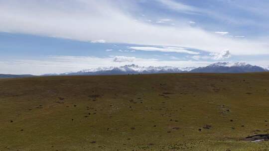 草原雪山自然风光全景