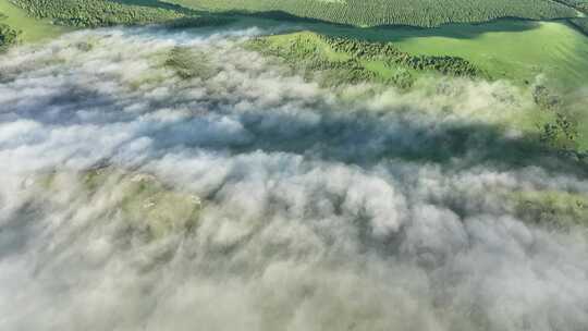 航拍青山森林云雾