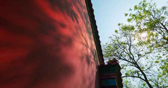 北京雍和宫红墙光影绿树
