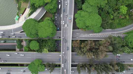 深圳人才公园-沙河西路城市车流