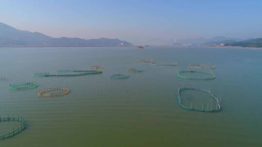福建霞浦海边渔圈