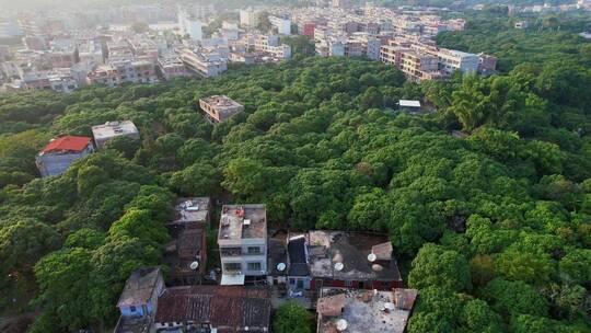 航拍福建客家土楼景观视频素材模板下载