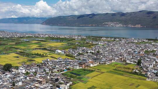 【精品】秋天秋季户外旅游平原梯田稻田风光视频素材模板下载