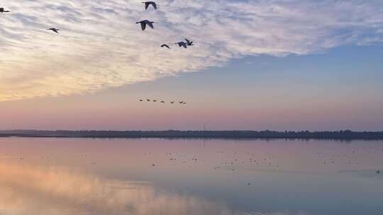 候鸟群飞 鄱阳湖日落