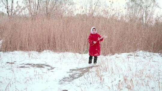 冬天在公园芦苇丛里玩雪的中国女孩形象