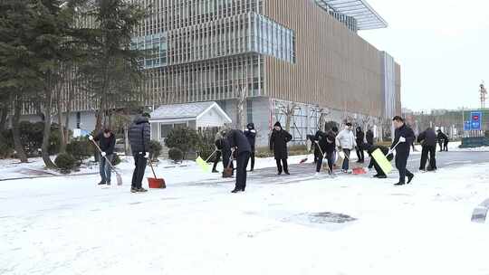 雪后除雪 铲雪