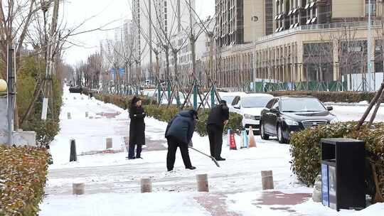 雪后除雪 铲雪