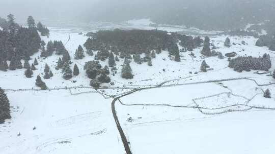 西藏林芝鲁朗林海雪原冬天乡村雪景风光航拍