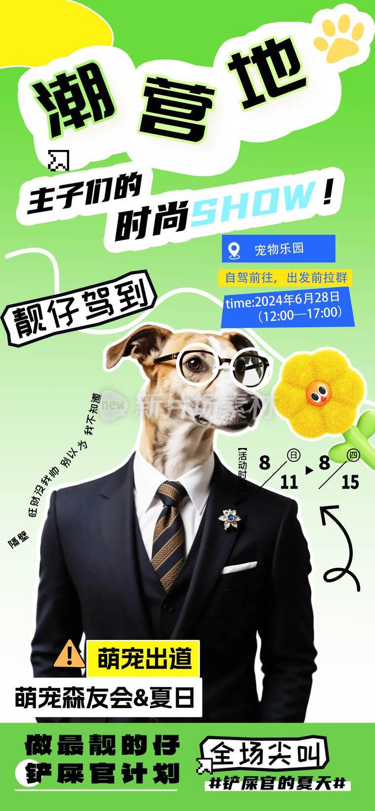 夏日宠物乐园创意海报b