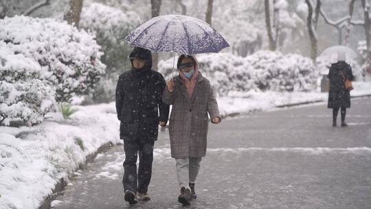 下大雪公园休闲散步赏雪