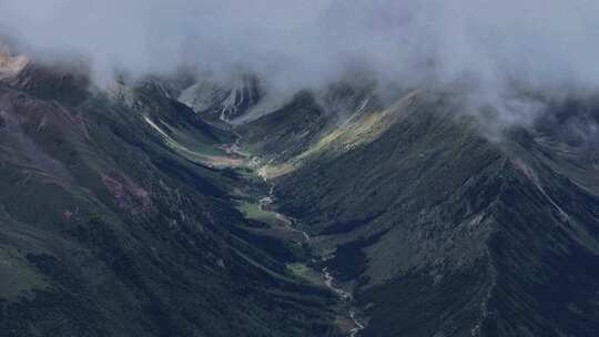 白马雪山视频素材模板下载