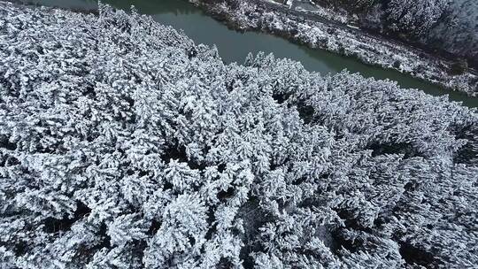 fpv穿越机航拍森林雾凇雪景溪流自然树林