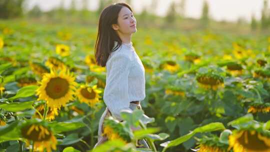 美女女孩在向日葵丛中奔跑逆光夕阳唯美霍城