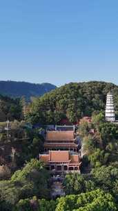 竖版航拍四川宜宾白塔山景区