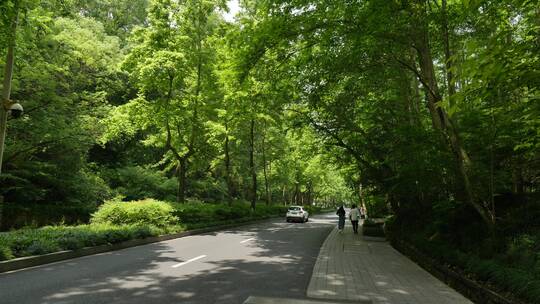 杭州西湖浴鹄湾自然风景