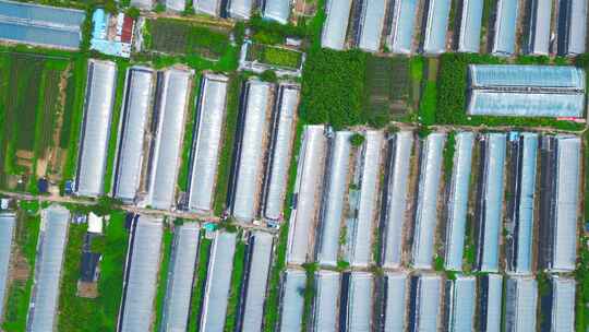 山东寿光蔬菜大棚航拍【4K60】