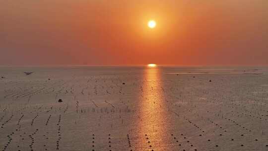 湛江天成台海边日落航拍视频素材模板下载
