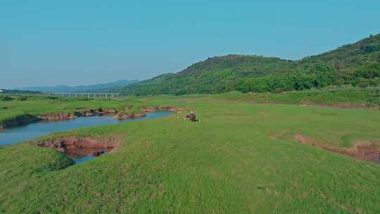 草原河流风景