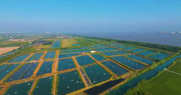 杭州钱塘区大江东生态农业养虾基地