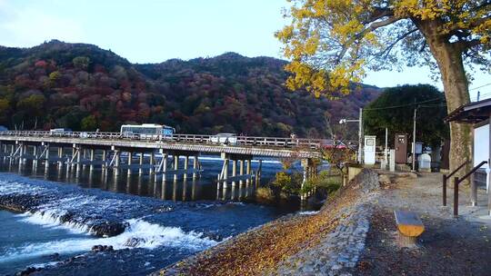 日本岚山风景