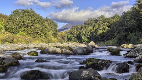 河水溪流山泉河流山水视频素材模板下载