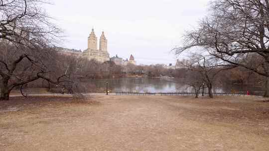 美国纽约市中央公园的镜头，拍摄于冬季