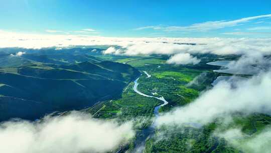 航拍云雾缭绕的湿地风光