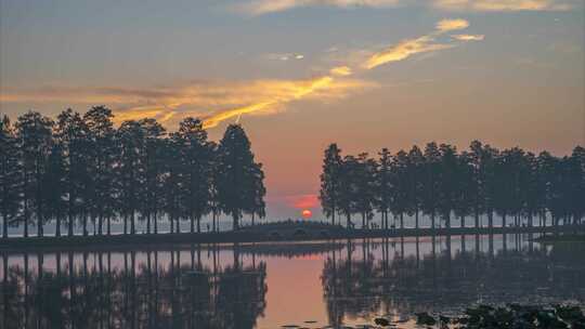 武汉东湖风景区夏季日出风光