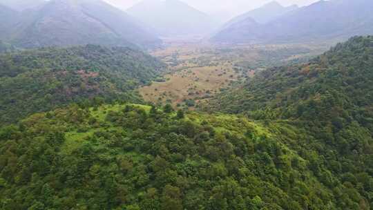 重庆五里坡国家级自然保护区葱坪全景