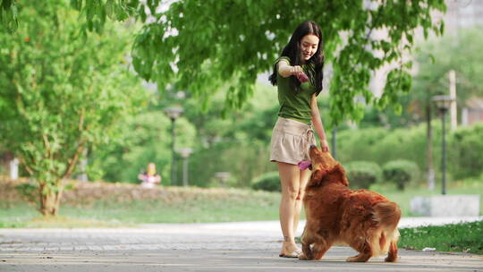 美女和金毛犬在夏天公园里玩耍