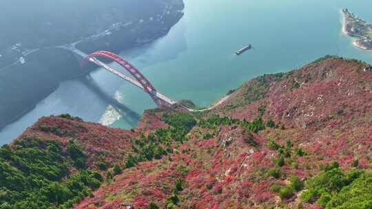 三峡红叶