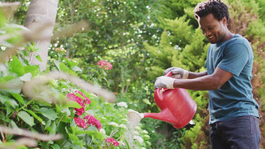 快乐的混血儿园艺，用喷壶给植物浇水