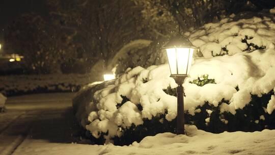 小区下雪夜景唯美飘雪