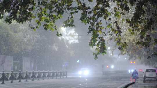 雪景唯美升格实拍