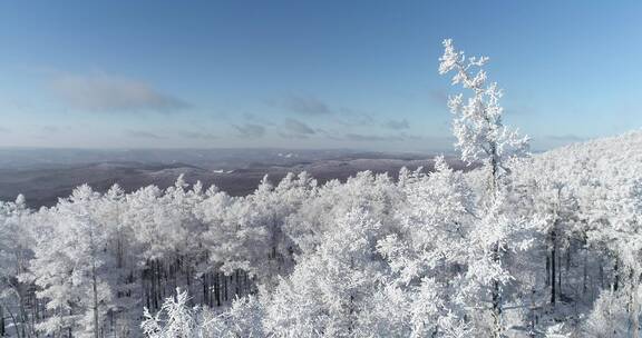 零下40度的低温航拍大兴安岭冰雪雾凇