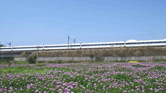 高铁动车列车高铁经过春天春暖花开田野乡村