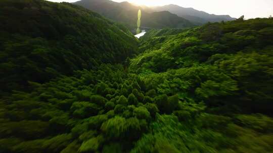 航拍绿色森林绿野仙踪青山绿水穿越机下山