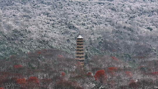 雪中的山林间古建筑群鸟瞰全景，南京灵谷寺