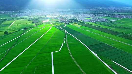 大理苍山耶稣光稻田景观