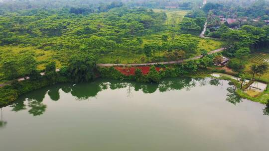 航拍湖泊和森林景观