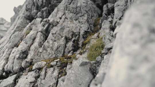 山谷岩石上的苔藓