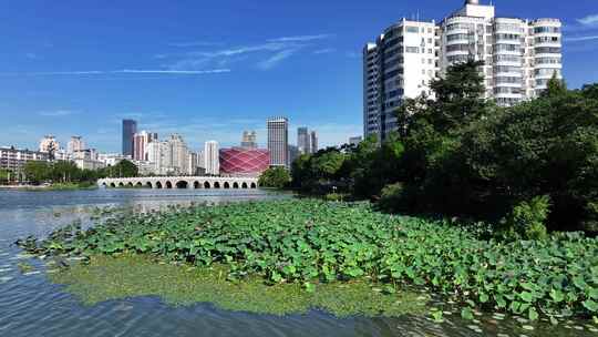 武汉武昌区双湖桥汉秀剧场东湖武汉大景航拍