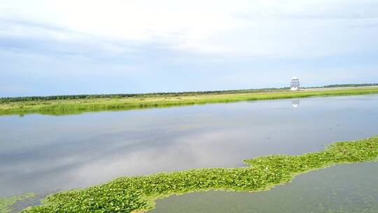 松花江同江湿地